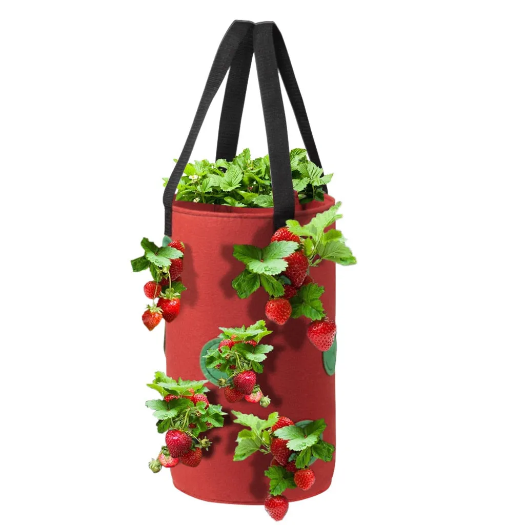 11 Hole Hanging Potato Strawberry Planter Bags