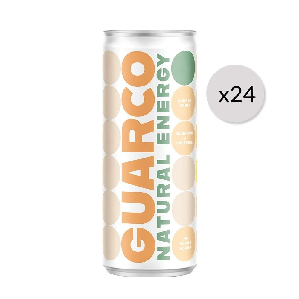 24x Foods by Ann Energy Drink GUARCO Apple 250ml