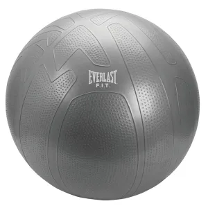75cm Pro Grip Burst Resistant Fitness Ball