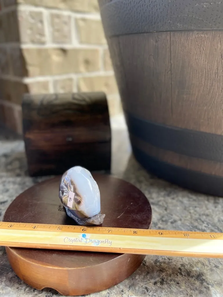 Agate Geode Drusy Carved Snail FB1055