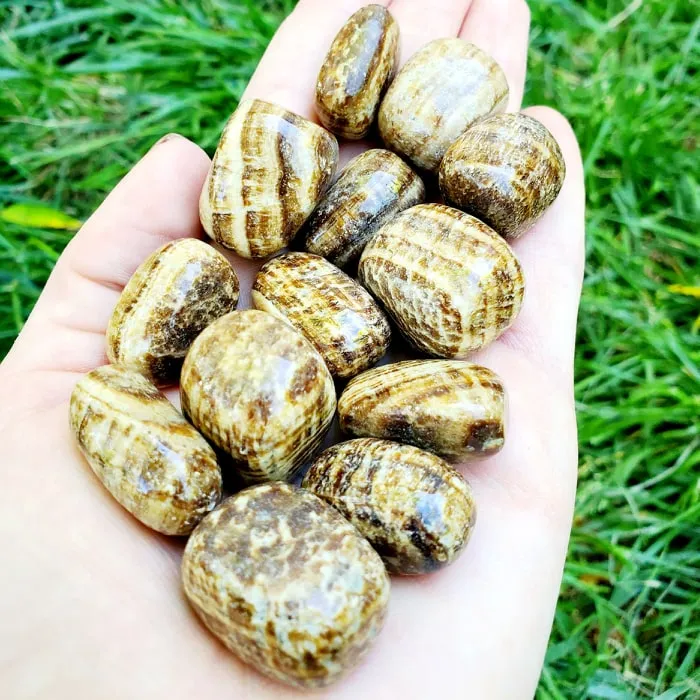 Aragonite | 1 or 5 Pack | Tumbled | Hand Selected | Healing & Grounding