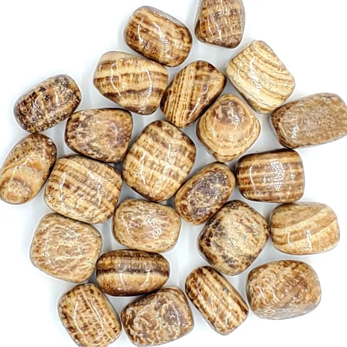 Aragonite | 1 or 5 Pack | Tumbled | Hand Selected | Healing & Grounding