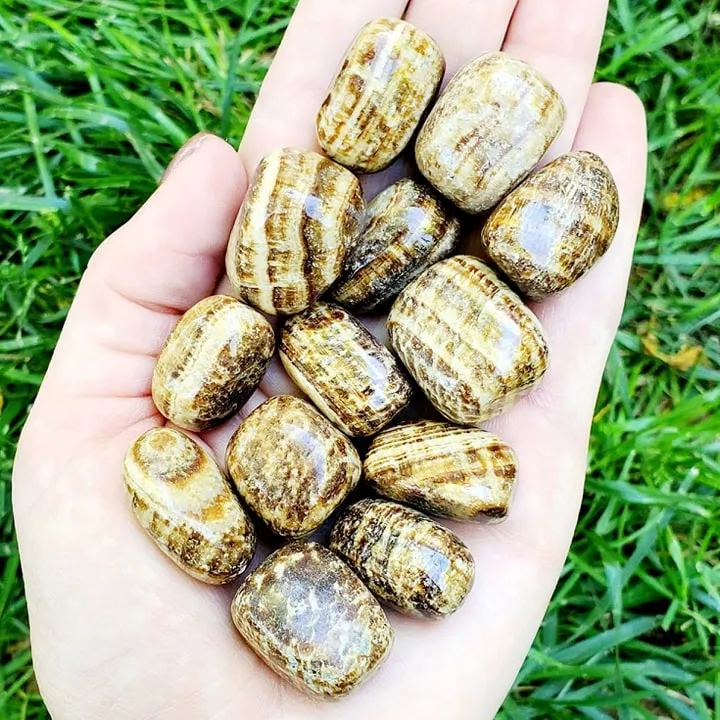 Aragonite | 1 or 5 Pack | Tumbled | Hand Selected | Healing & Grounding