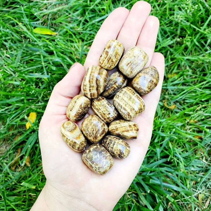 Aragonite | 1 or 5 Pack | Tumbled | Hand Selected | Healing & Grounding