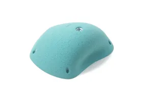 Axis Easy Rider 31