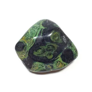 Crocodile Jasper | Kambaba Jasper| 1 or 5 Pack | Tumbled | Hand Selected | Strength, Grounding, & Protection