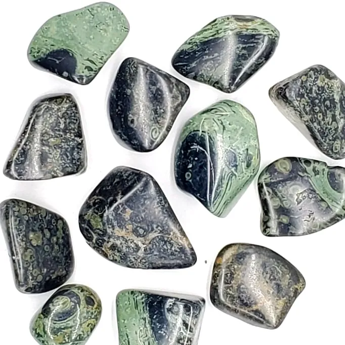 Crocodile Jasper | Kambaba Jasper| 1 or 5 Pack | Tumbled | Hand Selected | Strength, Grounding, & Protection