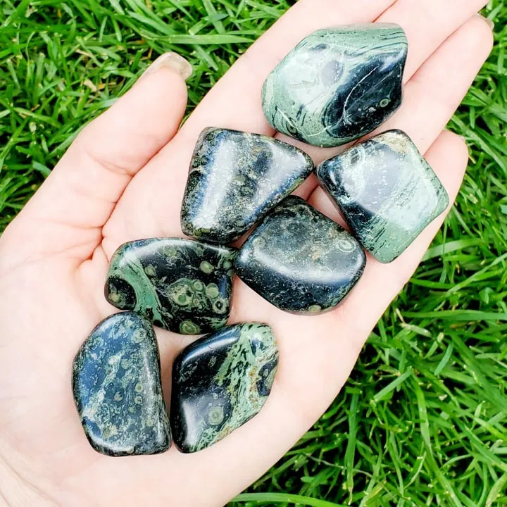 Crocodile Jasper | Kambaba Jasper| 1 or 5 Pack | Tumbled | Hand Selected | Strength, Grounding, & Protection