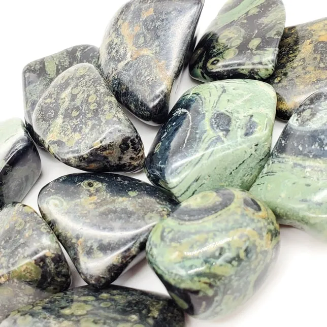Crocodile Jasper | Kambaba Jasper| 1 or 5 Pack | Tumbled | Hand Selected | Strength, Grounding, & Protection
