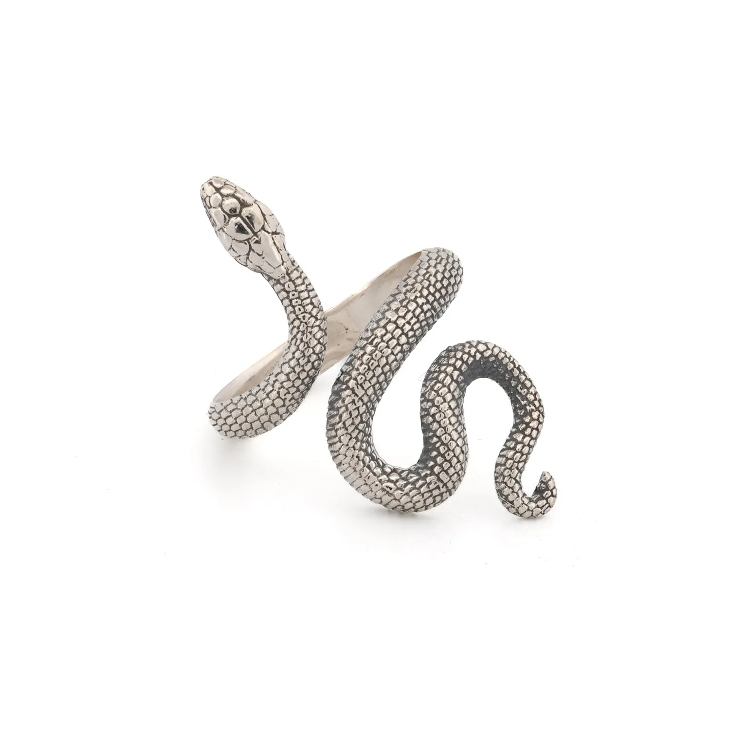 Cycle of Life Snake Sterling Silver Ring