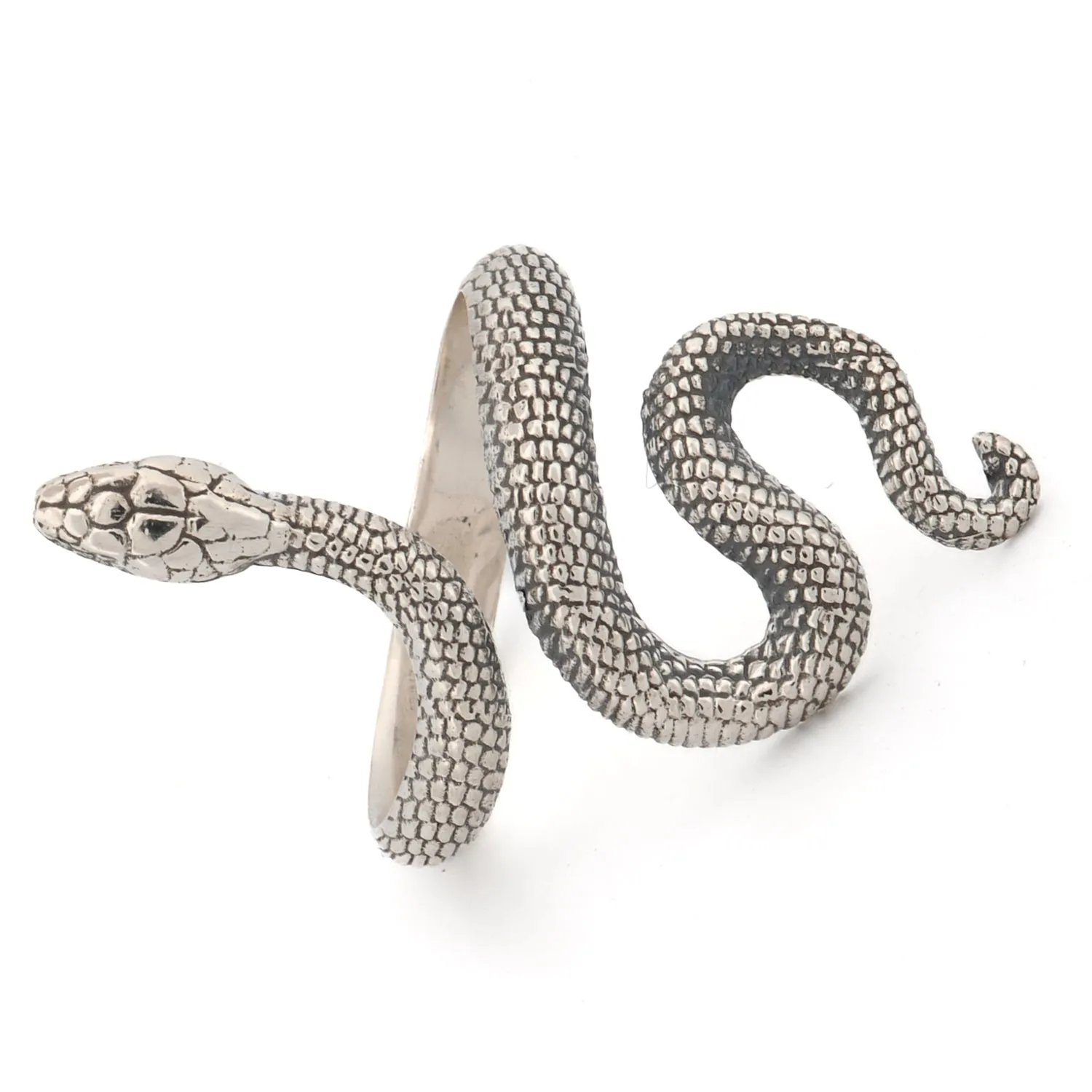 Cycle of Life Snake Sterling Silver Ring