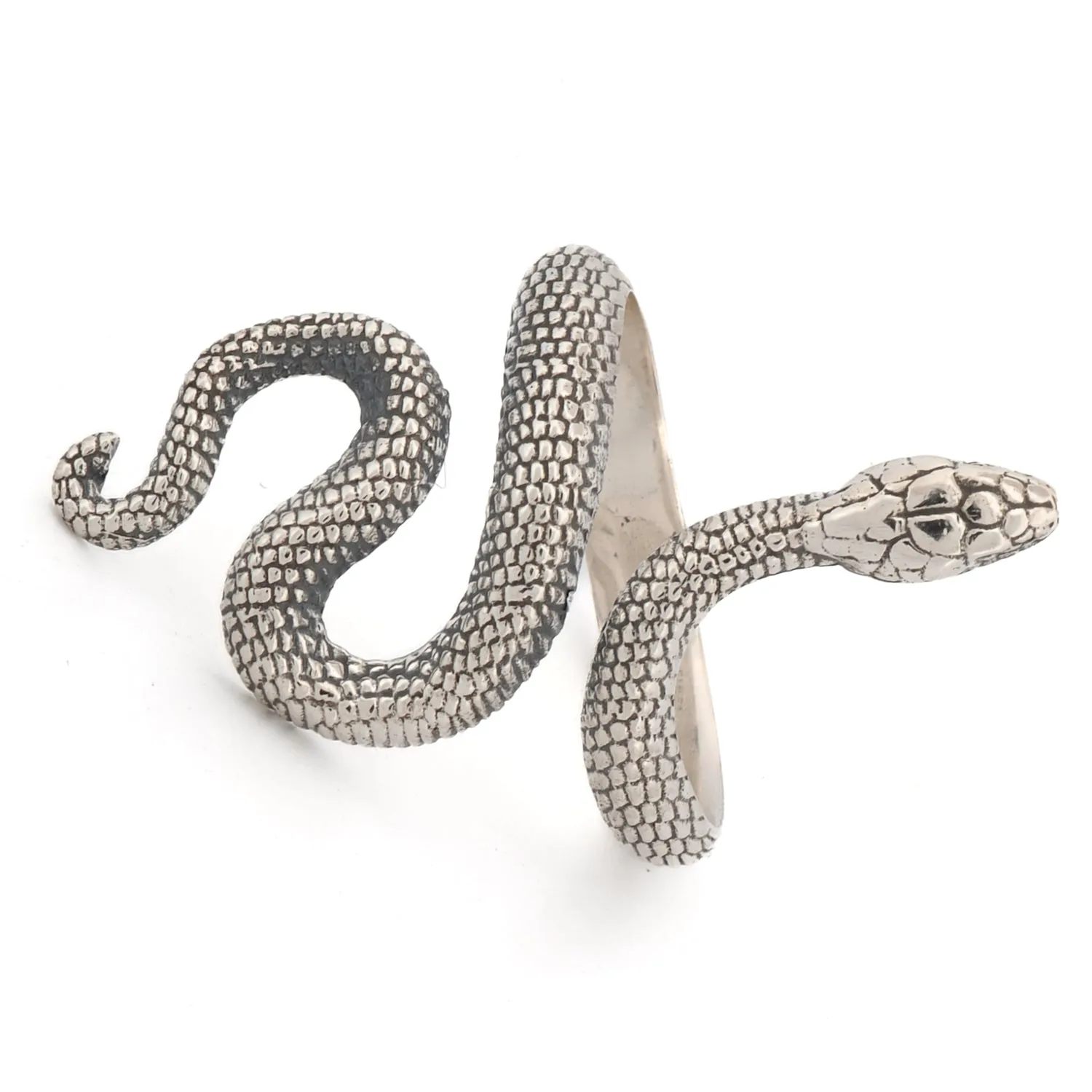 Cycle of Life Snake Sterling Silver Ring