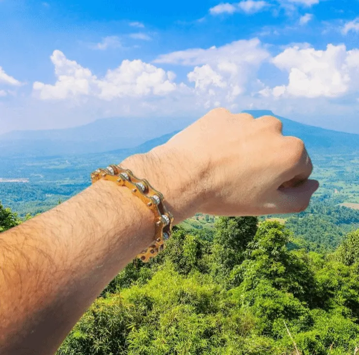 Cycolinks Gold Crystal Bracelet