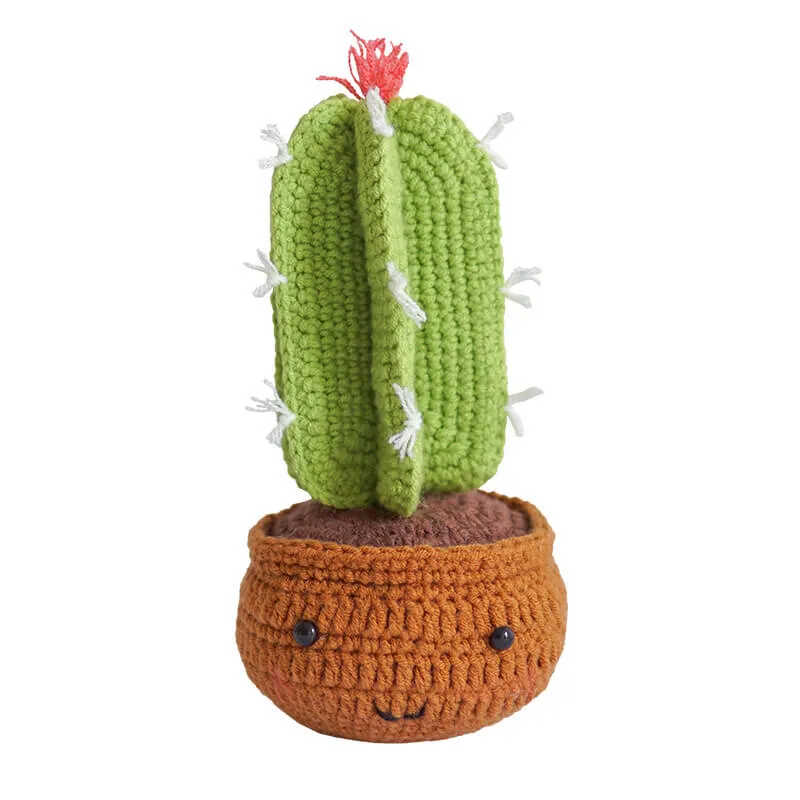Dasonwin | Beginner-Friendly Crochet Kit for Compact Crafting