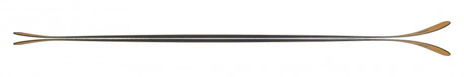Fischer Ranger 96 Skis