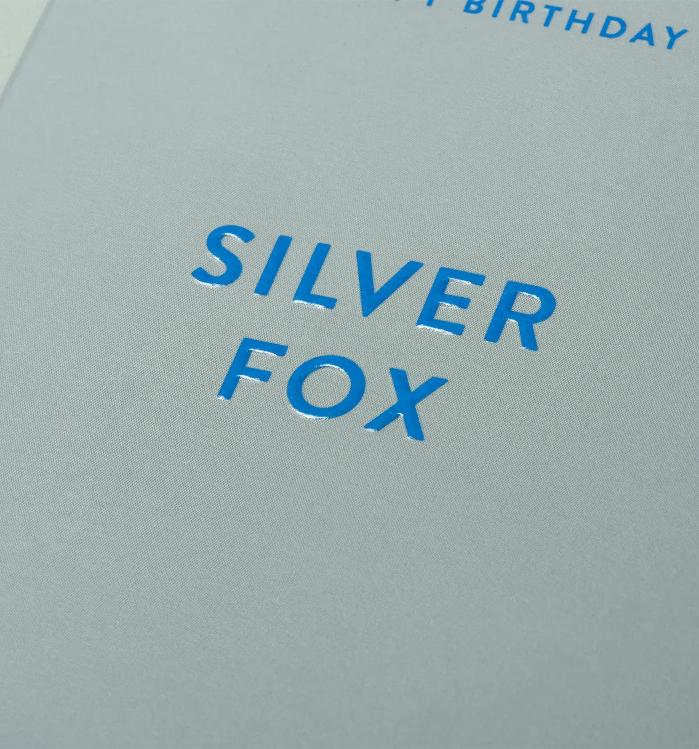 Happy Birthday Silver Fox