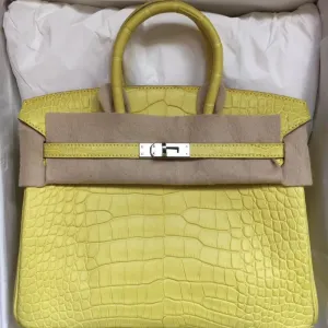 Hermès Birkin 25 Lime Alligator Mississippi Matte Palladium Hardware PHW