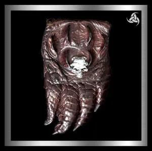 Horn Back Crocodile Paw Belt Pouch
