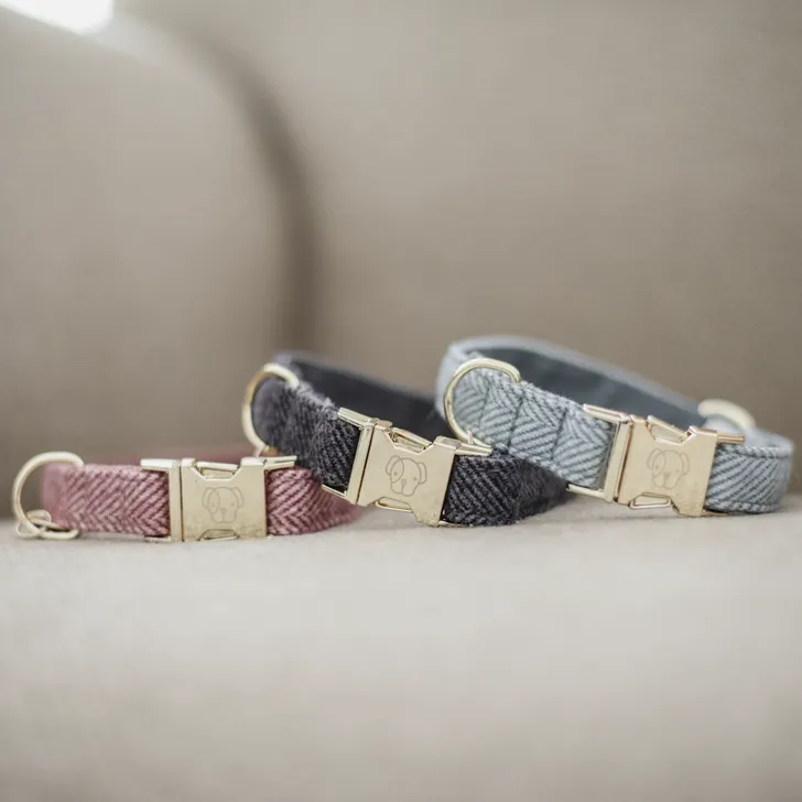 Kentucky dogwear wool Collars