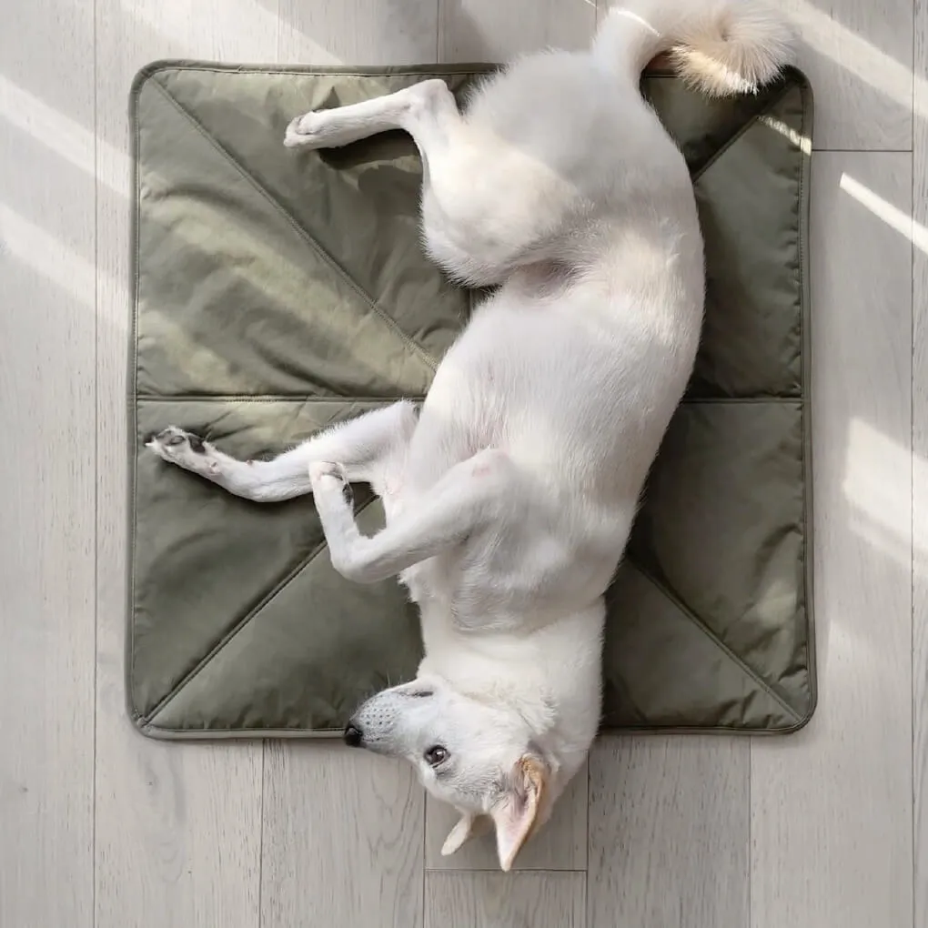 Lambwolf ORII Ultra Light Travel Mat | Fern