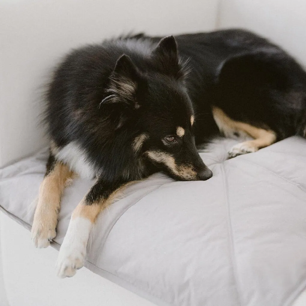 Lambwolf ORII Ultra Light Travel Mat | Koala