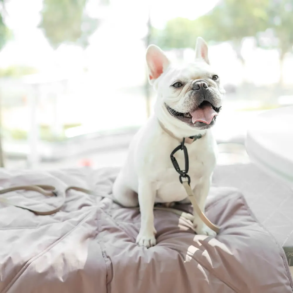 Lambwolf ORII Ultra Light Travel Mat | Plum
