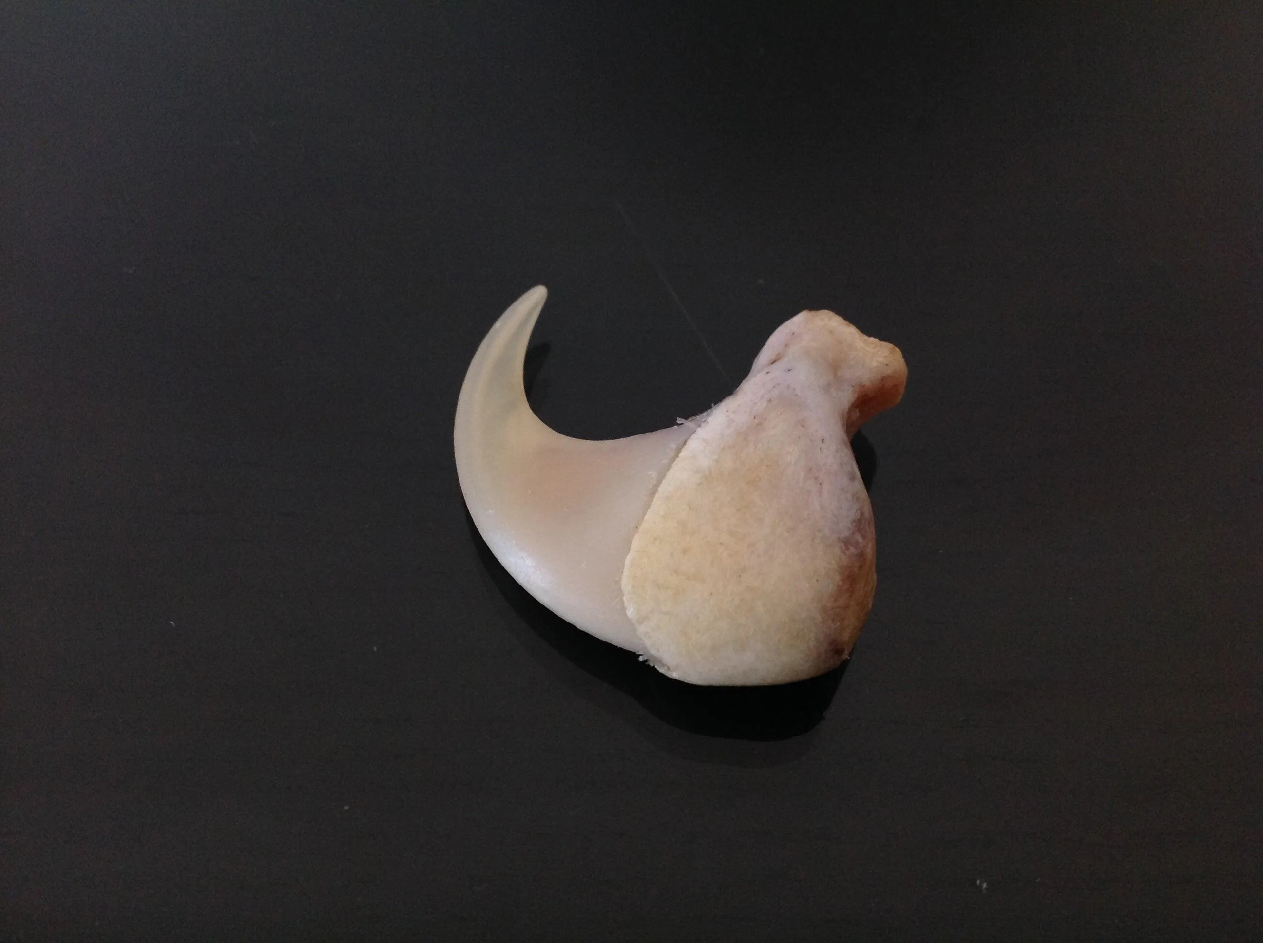 lion claw and lion skin amulet (subscribers only)