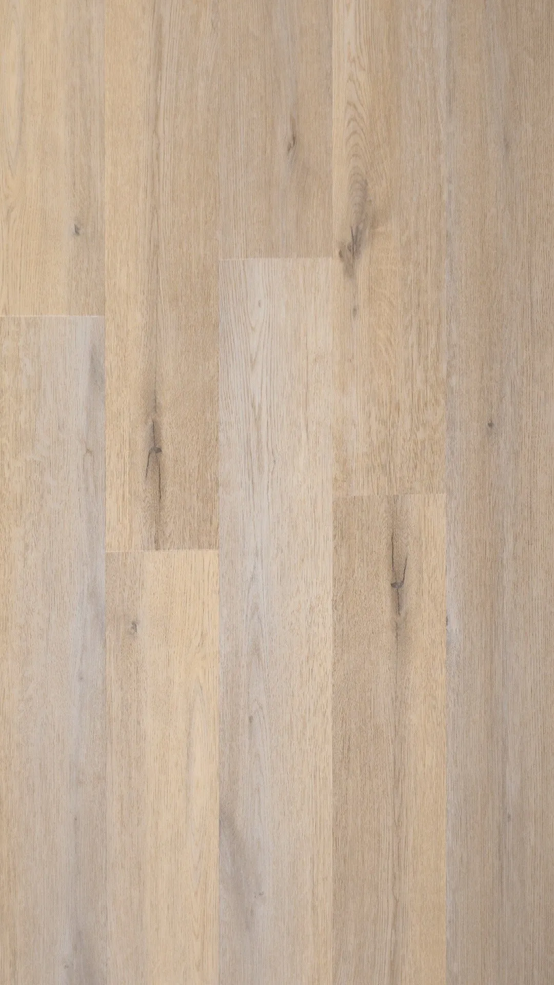 Lisbon Dryback (Gluedown)