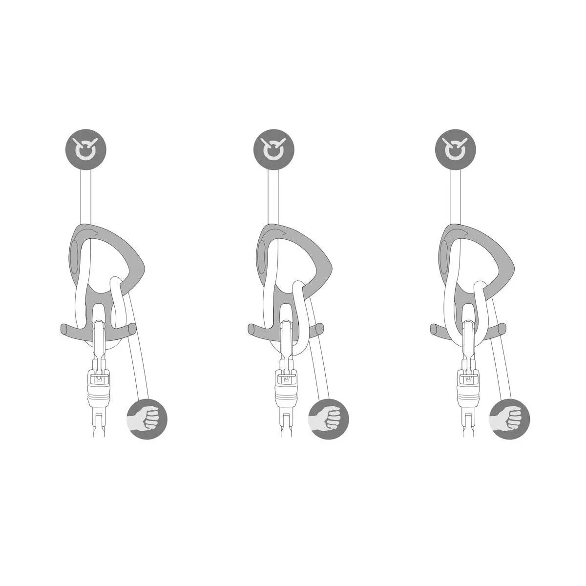 Pirana Club Descender