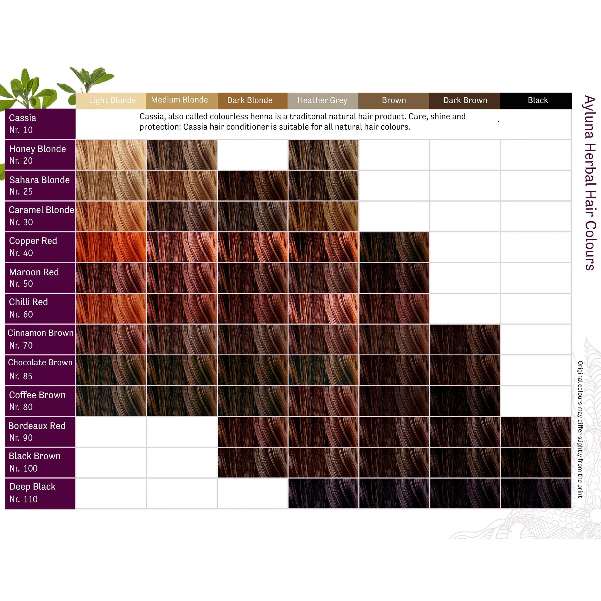 Plant-based Hair Dye | Honey Blonde