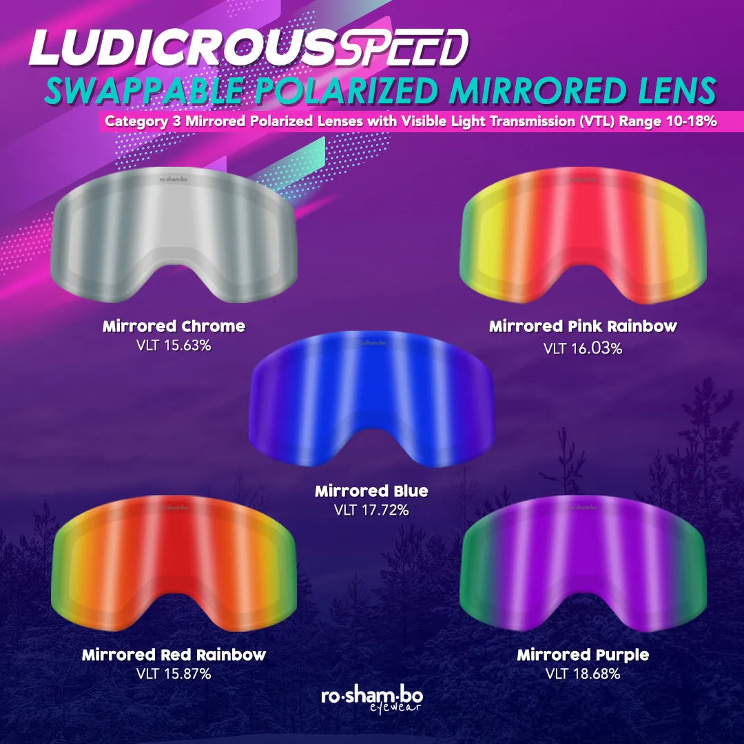 Polarized Snow Goggle Lens Only