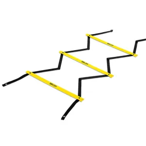 Quick Ladder Pro