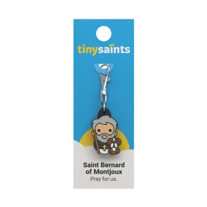 Saint Bernard of Montjoux