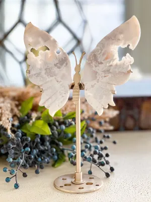 SNOW AGATE SUPER DRUZY BUTTERFLY WINGS