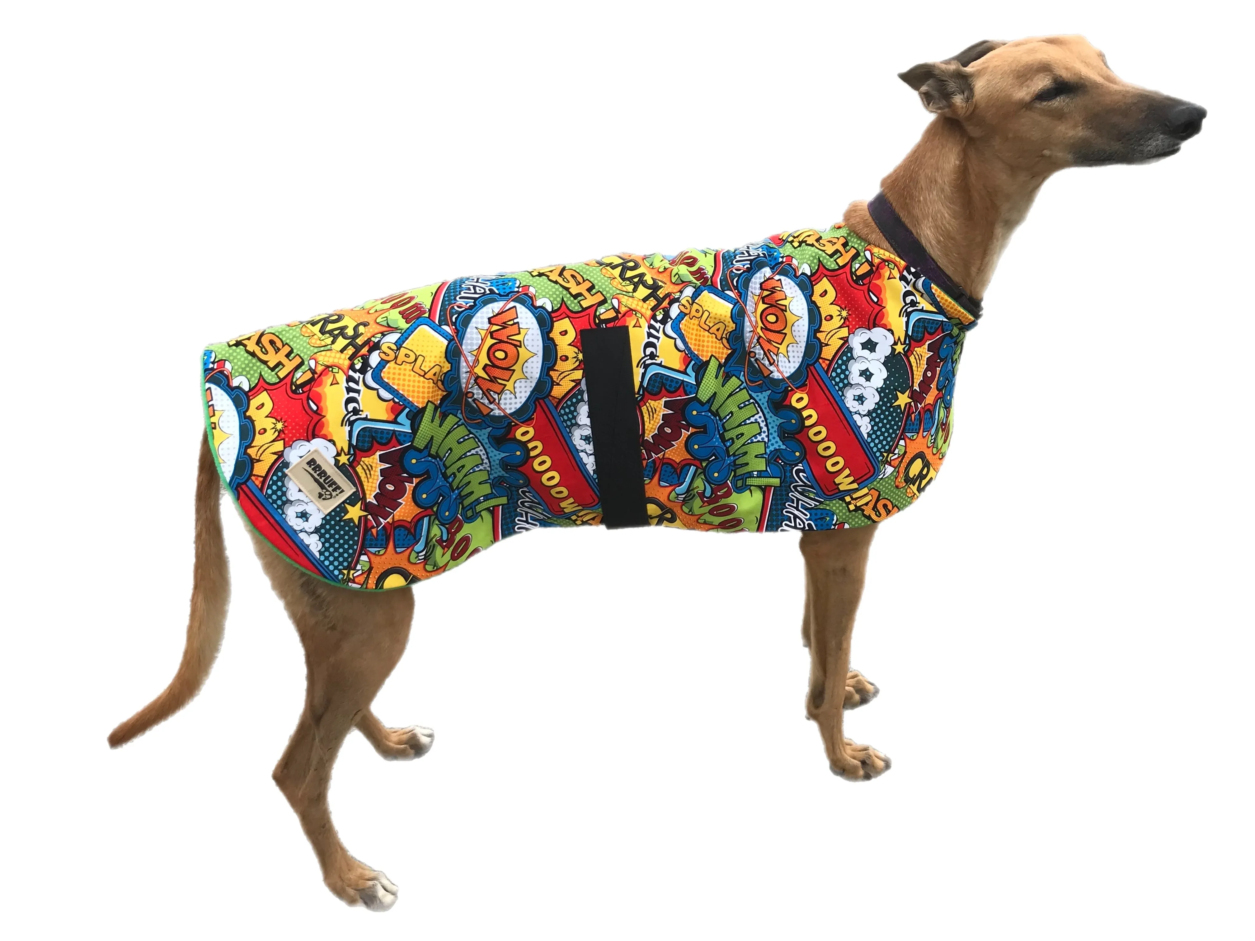Super colourful and bright Kapow Martingale collar greyhound collar sturdy cotton fabric